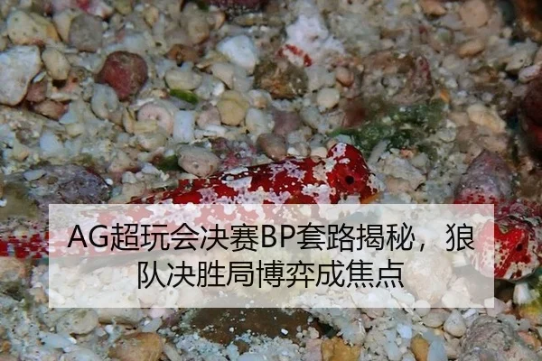 chao-wan-hui-jue-sai-tao-lu-jie-mi-lang-dui-jue-sheng-ju-bo-yi-cheng-jiao-dian-3-980.jpg